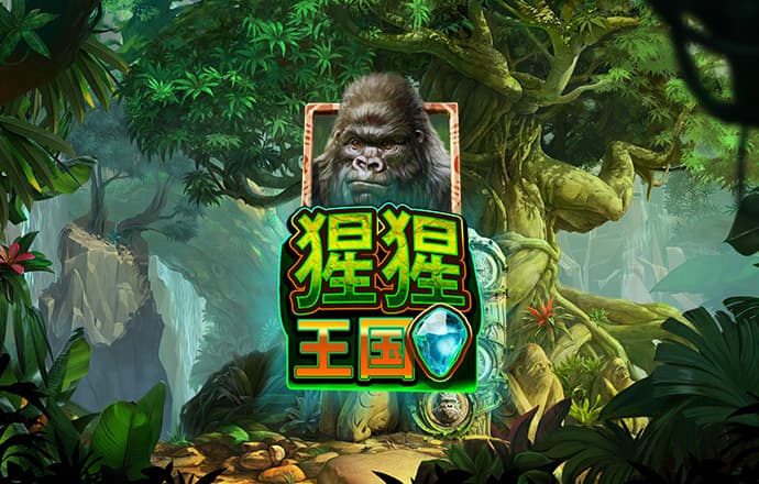 3oo3必赢贵宾会